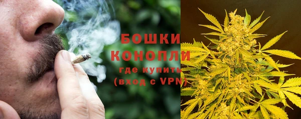 ГАЛЛЮЦИНОГЕННЫЕ ГРИБЫ Беломорск