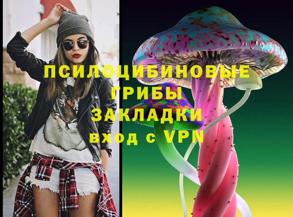 ГАЛЛЮЦИНОГЕННЫЕ ГРИБЫ Беломорск