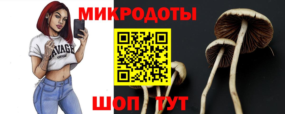 Галлюциногенные грибы Magic Shrooms Горячий Ключ